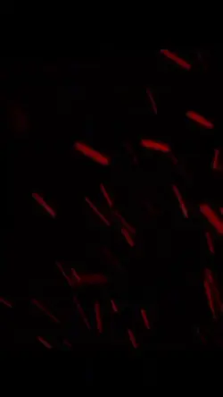 Free outro