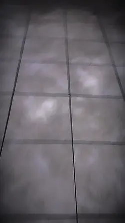 fruit edit 