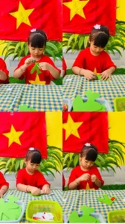 Việt Nam trong tôi 