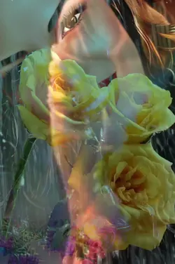 rose défilent 