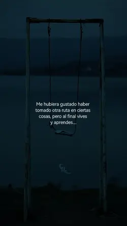 Me hubiera gustado 