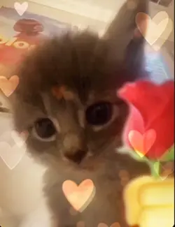 Idk what to name