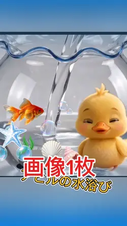 アヒルの水浴びハート💛自分の金魚鉢を！
