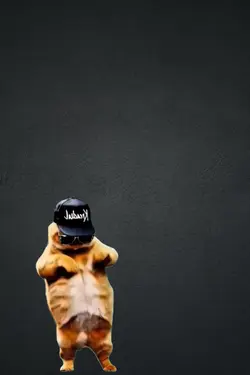 Dancing cat
