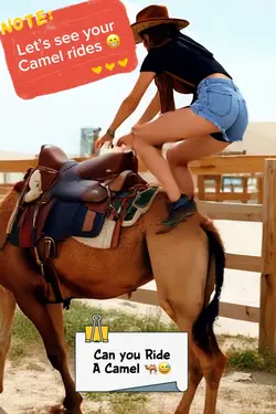 Can you Ride a Camel