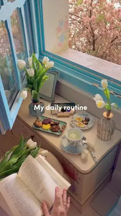 my daily routine