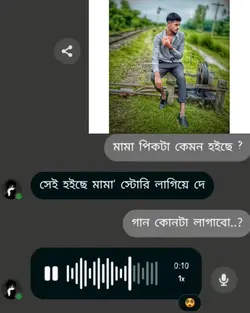 মামা পিকটা কেমন 