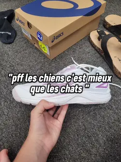 Les chats >>les best