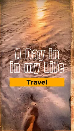Daily Travel
