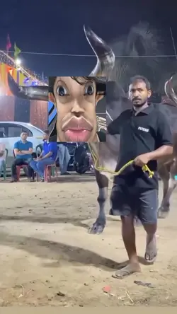 kurbanin teman