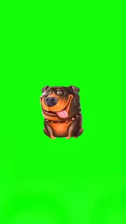 doggy meme