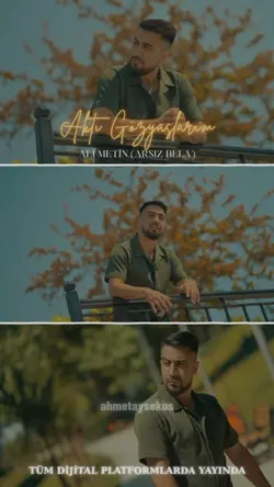 Ali Metin Şablon
