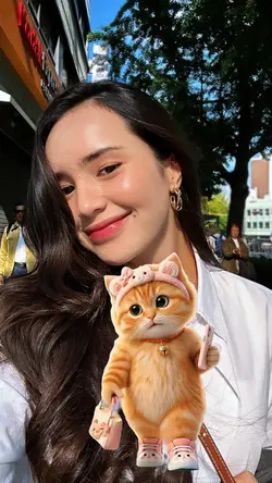 Walking cat
