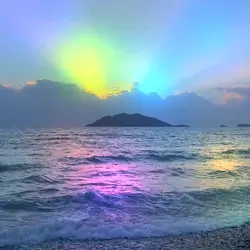 Hiệu ứng gây sốt
