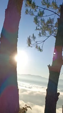 Nature
Sunrise