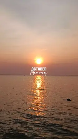 foto + video dump
