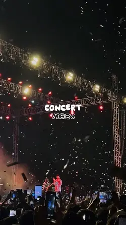 concert vibes