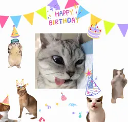 BIRTHDAY LUCU
