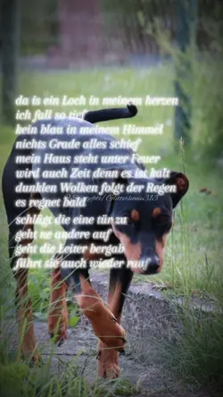 Tür zu 