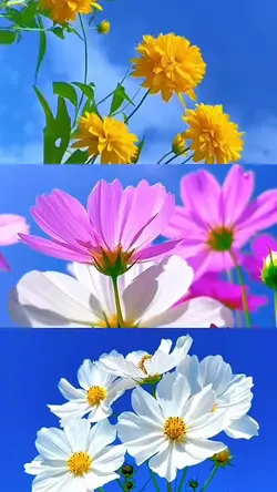 Spring day