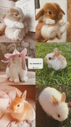 pets template 