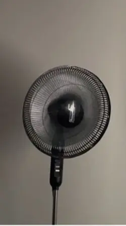 Musical fan