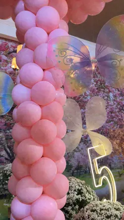 Festa no Jardim
