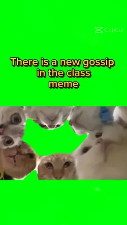 there is a gossip