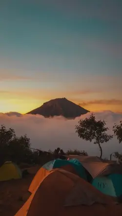 Tidak ada proses yg