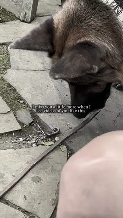 He wasn’t happy at 