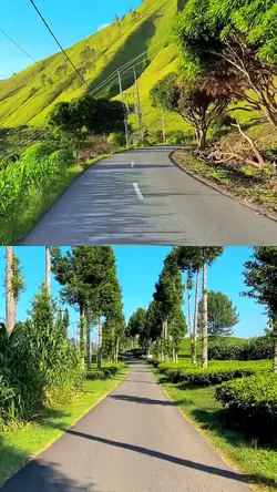 collage filter hd
