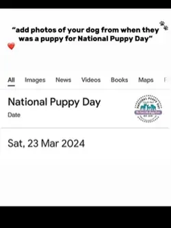 National puppy day 