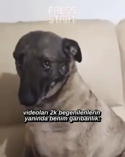 benim min garibanlik