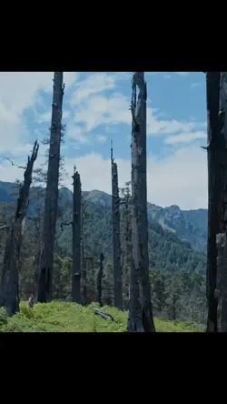 रेसम