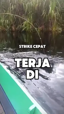 STRIKE