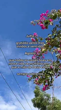 Gratidão julho: