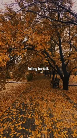falling for fall
