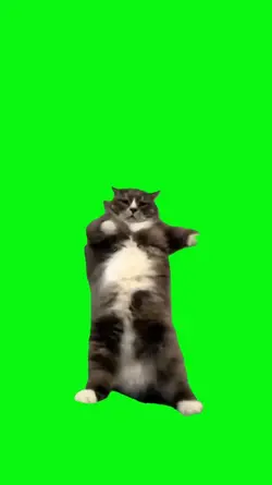 memes green screen