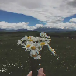 25 foto