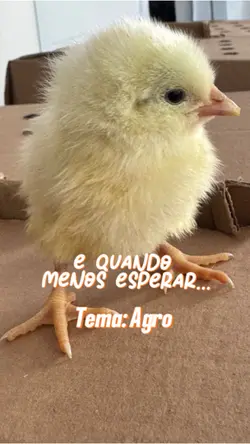 E quando menos…