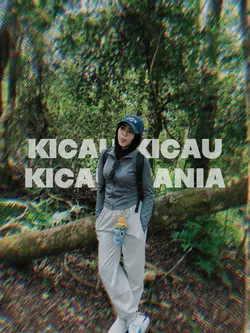 kicau mania bocil