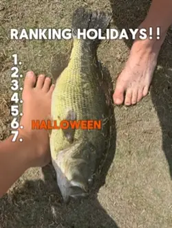 Top 7