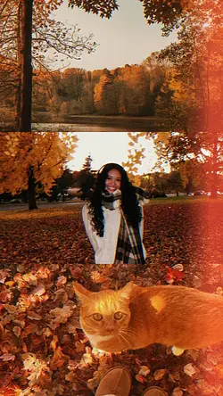 autumn split screen 