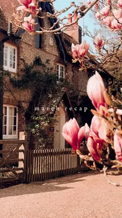 March Recap 🌸