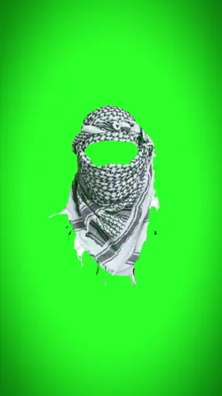 Habibi trend