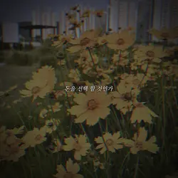 사랑인가 돈인가