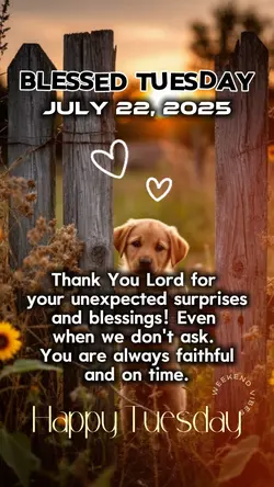 blessed tuesday