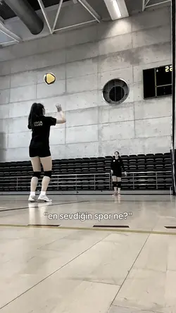 voleyboll