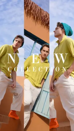 NEW COLLECTION 