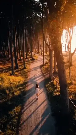aesthetic video 